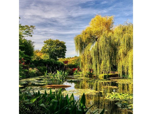 Private Giverny Monet’s House & Gardens Half-Day Tour from Paris