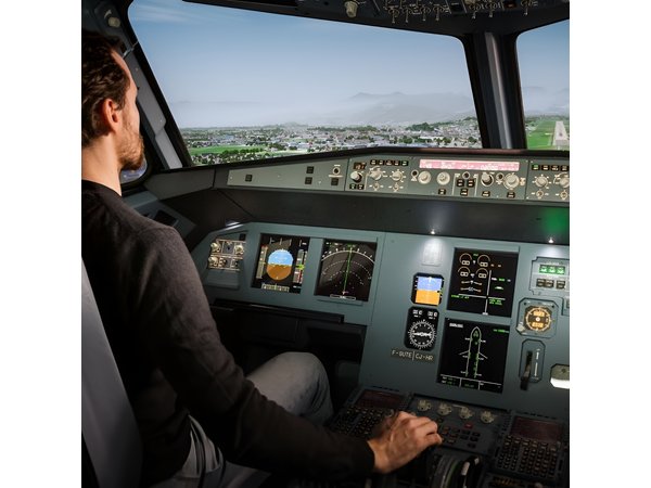 Private Pilotage of a Flight Simulator in Paris