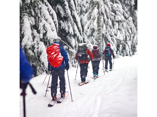 Whistler Intro to Backcountry Skiing and Splitboarding