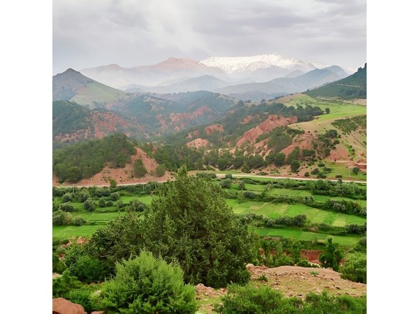 Ourika Valley Atlas Mountains Private Day Trip from Marrakech