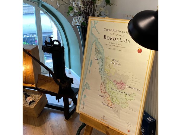 Discovery of the Bordeaux vineyard in 3 wines