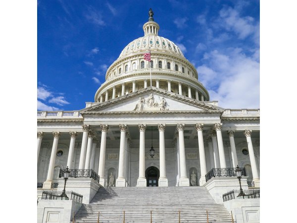 Private 3 Hour Highlights Tour Washington DC for up to 10 Guests