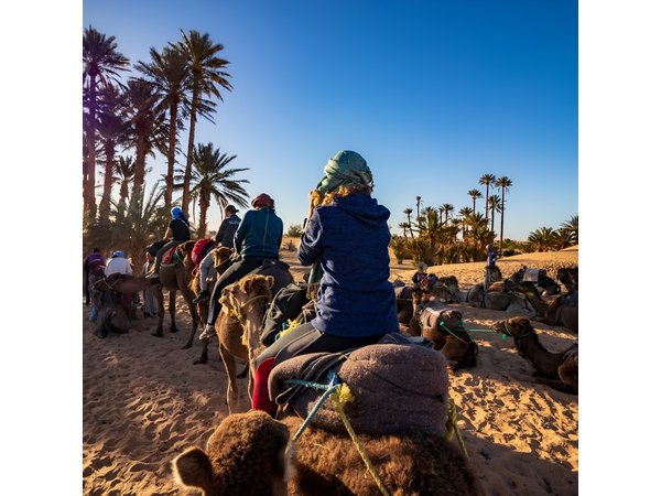 Desert Odyssey: 2 Days _ Marrakech to Merzouga Expedition