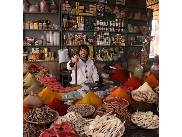 Half Day Guided City Tour Of Marrakech With A Professional Guide
