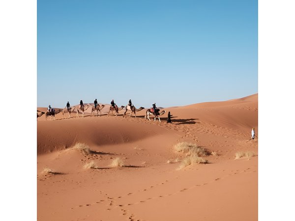 Private Marrakech Desert tour to Fes
