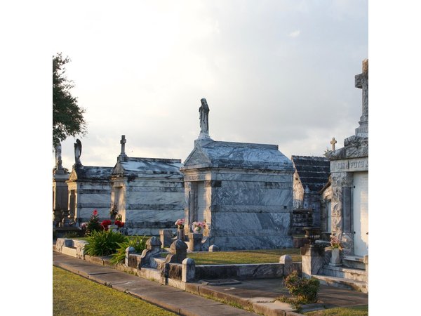 New Orleans Small-Group City Tour by Van