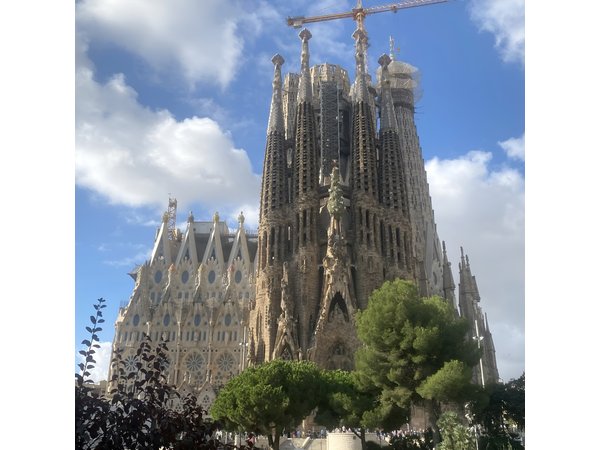 Barcelona Essential Highlights: Private Bike Tour