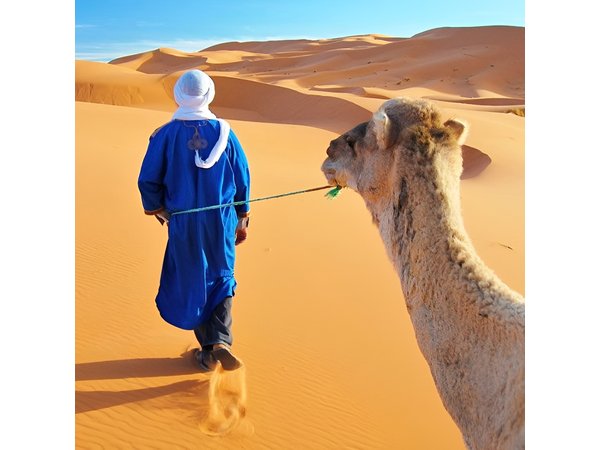 Best 9 Days tour from Casablanca via Desert & Marrakech