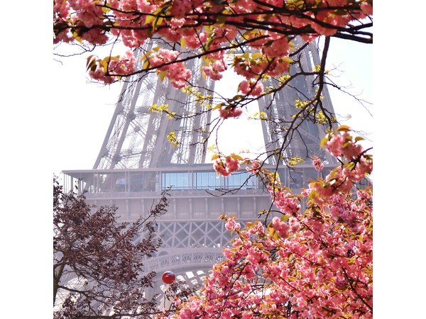 Paris Photo Walk with a Pro Photographer & Discover Hidden Paris