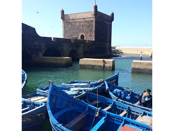 Full-Day Excursion to Essaouira from Marrakech