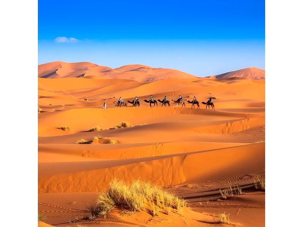 3-Day desert tour Marrakech to Fes via Merzouga