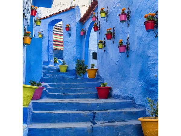 Casablanca 2 Days trip to Chefchaoun (Blue city)