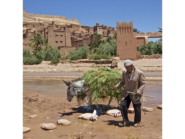 6-Day Morocco Tour: Casablanca, Fes, Marrakech & Sahara Desert