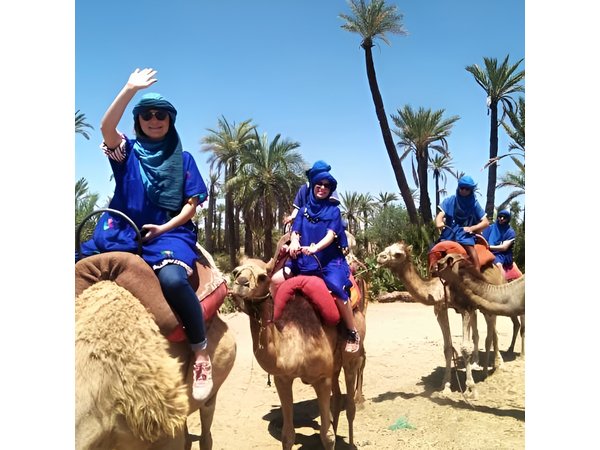 Camel Ride in the Palm Grove of Marrakech
