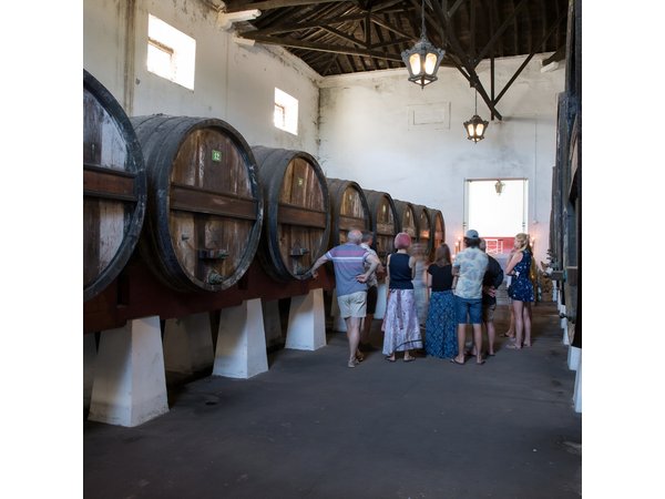 From Lisbon: Family Winery Tour, Historic Cellars & Wine Tasting