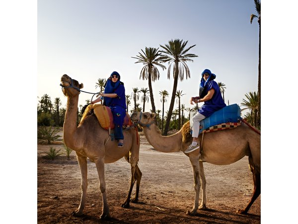 Camel Ride in the Palm Grove of Marrakech