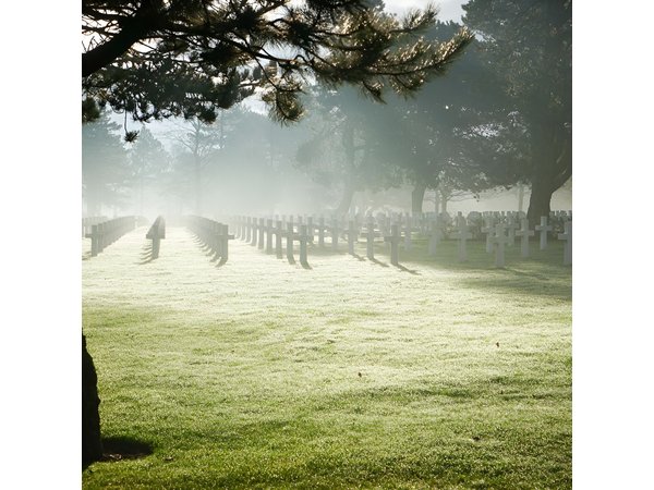 Omaha Highlights Tour with a DDAY expert from Bayeux