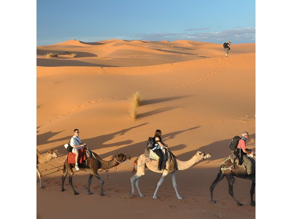 4 Days Desert Tour from Casablanca to Marrakech Via Fes and Sahara
