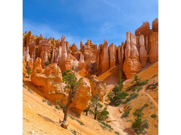 Zion, Bryce, Antelope, Grand Canyon, Las Vegas 6-Day Tour from SF