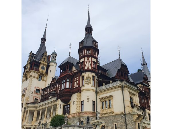 Executive Dracula Day Trip - See Bran & Peles Castle, Brasov from Bucharest