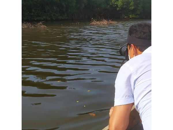 Cartagena Mangrove Private Tour