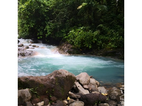 Rio Celeste river waterfall, hike and hot springs tour from San Jose, Costa Rica
