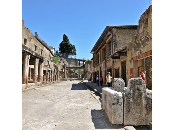 Herculaneum VIP Tour with Lunch from Naples
