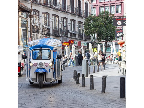 Private Madrid Historic Sights Tour by Electric Tuk-Tuk