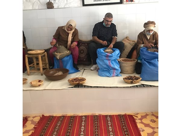 Private Ourika valley and Atlas Mountains day trip from Marrakech