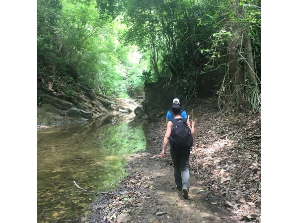 The Jaguar´s Footprint: Hike and Music Day Trip from Cartagena