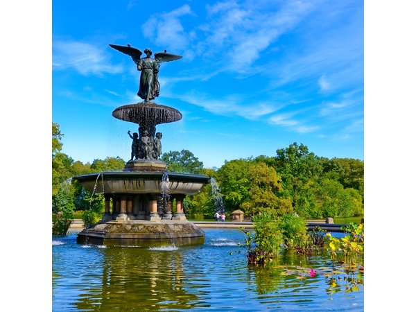 Private New York City Walking Tour: Central Park History and Hidden Secrets