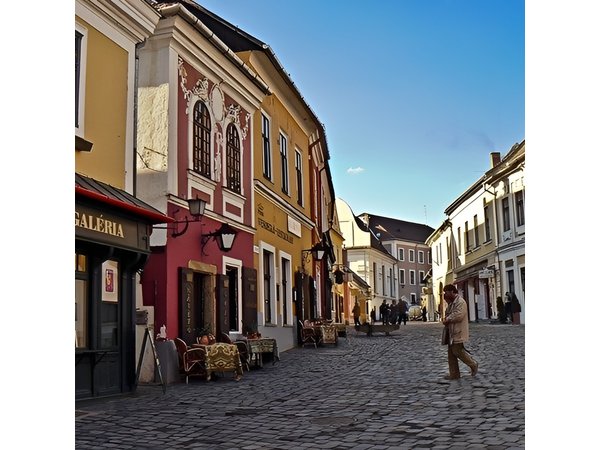 Private Budapest Danube Bend Tour Lunch and Cruise