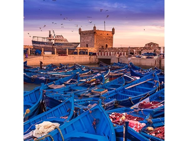 Full Day Tour To Essaouira from Marrakech