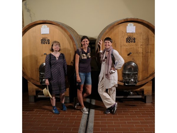 WINE TOUR with sommelier in a winery near Cagliari