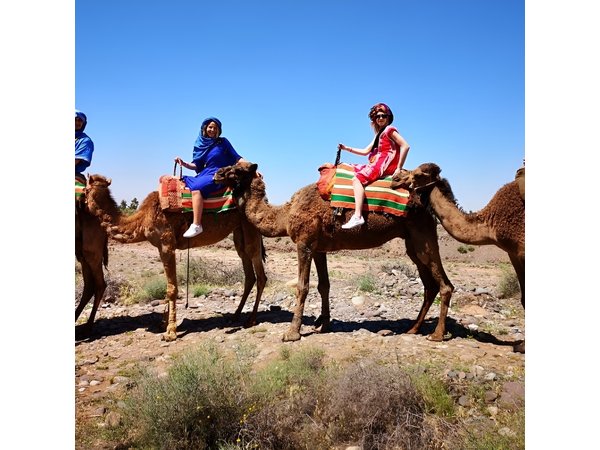 Atlas Mountains and Camel ride Day trip, from Marrakech
