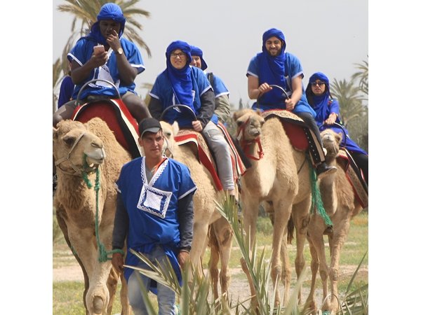 Camel Ride at Sunset in The Palm Grove of Marrakech