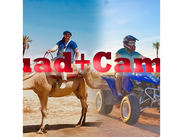 Quad palmeraie Marrakech et balade chameau transport inclus