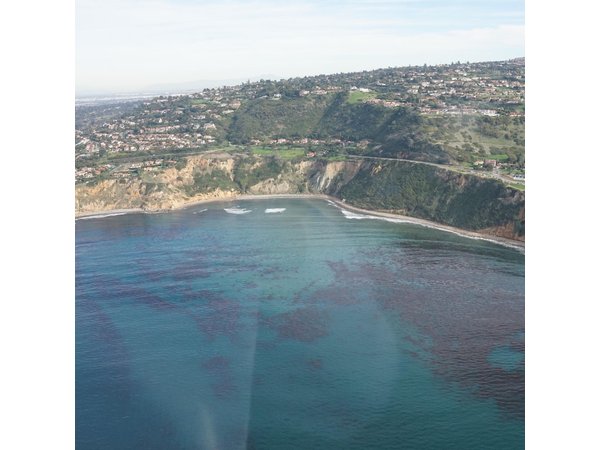 Private Helicopter Tour of Rancho Palos Verdes, Los Angeles, and Long Beach