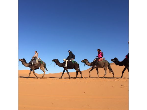 Sahara Desert + Atlas Mountains Tour - 3 Days 2 Nights - Fez to Marrakech