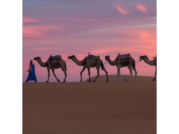 4-Days Marrakech to Marrakech Désert Tour