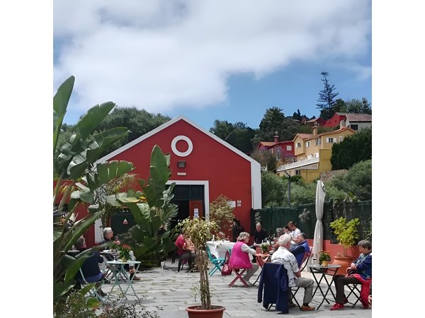 Winery Tour, Wine Museum, and Tasting in Gran Canaria
