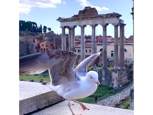 Rome: Private Tour with Guide