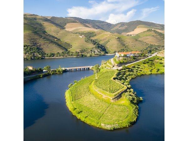 Private Douro Valley - Senses Experiences