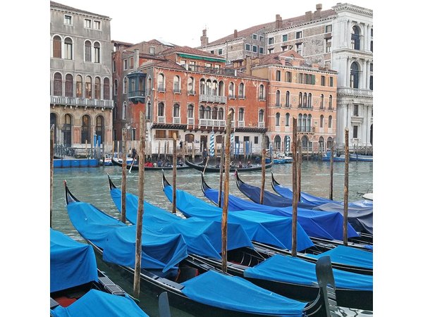 Venice Top attractions Walking Tour along the Canals