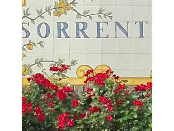 Pompeii Half-Day Tour from Sorrento