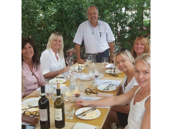 Private Tour in San Gimignano and Chianti Day Trip from Florence