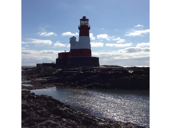 Farne Islands Longstone Lighthouse 2-Hour Trip from Seahouses