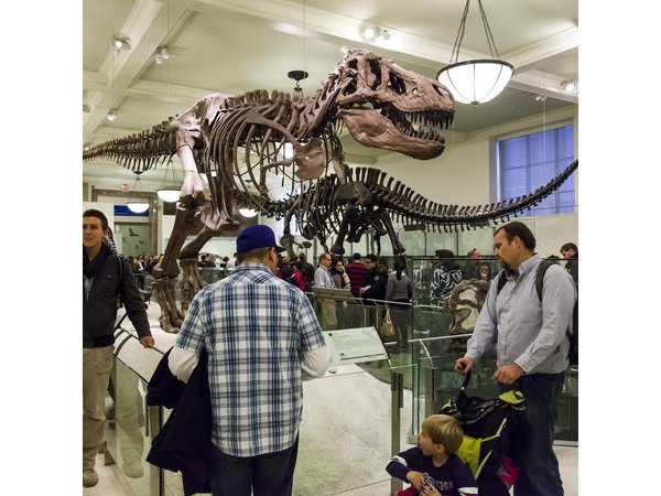 Washington DC Museum of Natural History Private Family tour