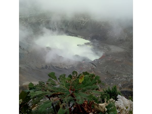 Poas Volcano + Coffee tour + Waterfall tour day from San Jose