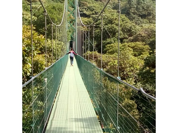 Zipline. Butterfly Garden and Hanging Bridges Tour from San Jose